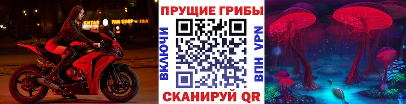 Галлюциногенные грибы мицелий это формула Абдулино